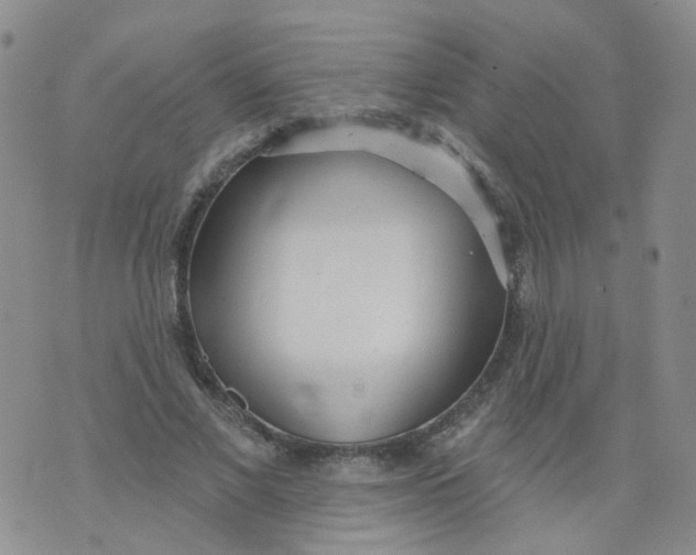 X0000073930685200609011835