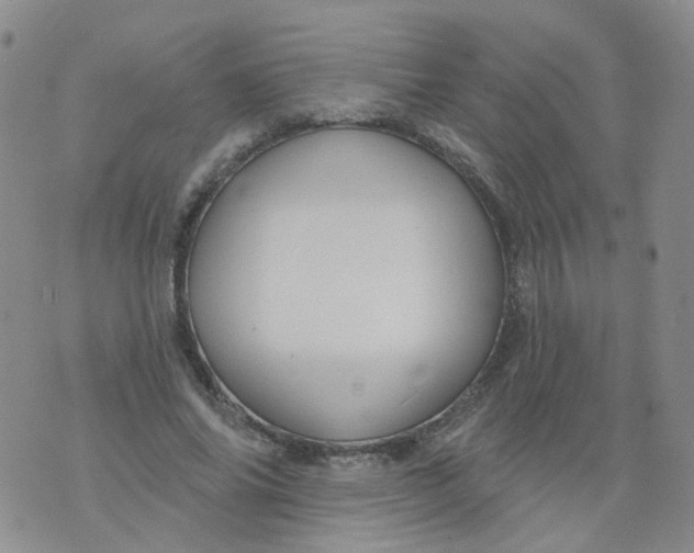 X0000073930686200609011835