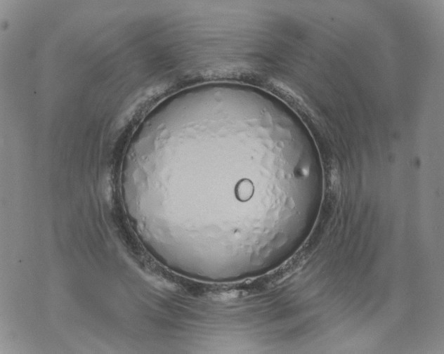 X0000073930687200609011835