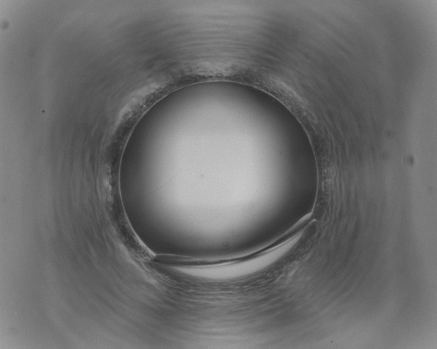 X0000073930688200609011835