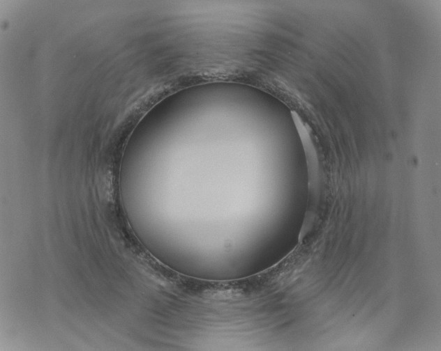 X0000073930689200609011835