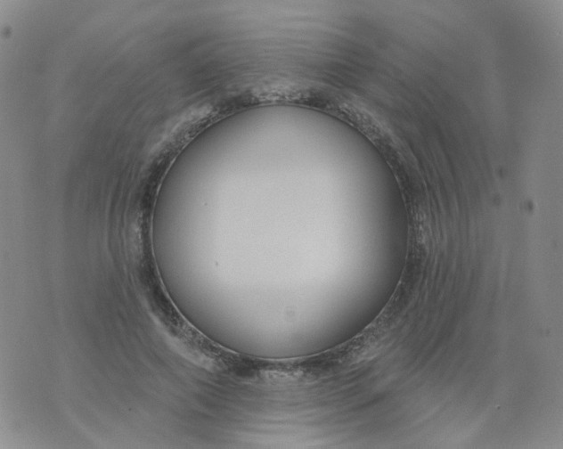 X0000073930690200609011835