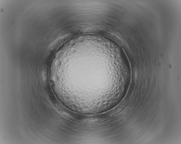 X0000073930691200609011835