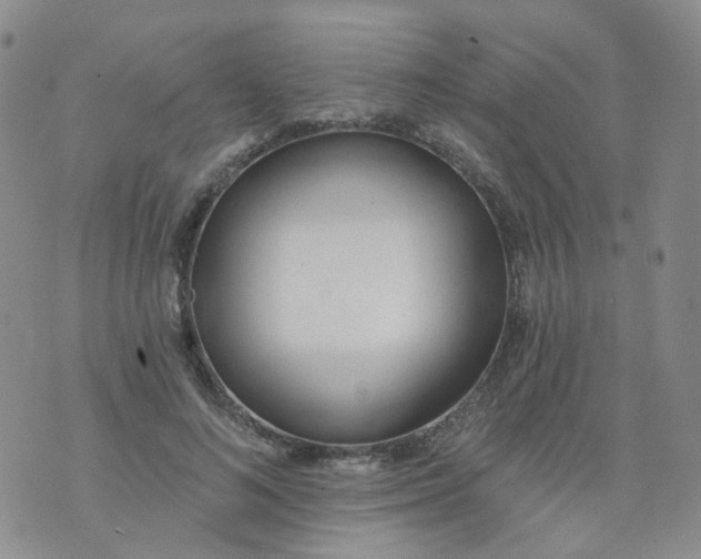 X0000073930692200609011835