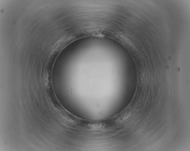 X0000073930693200609011835