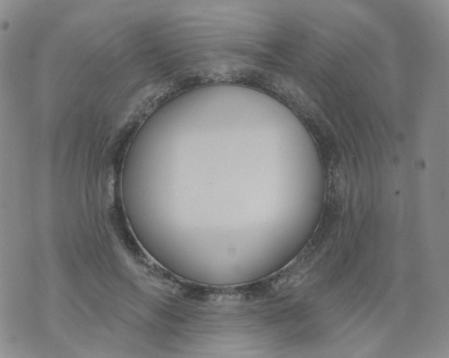 X0000073930694200609011835