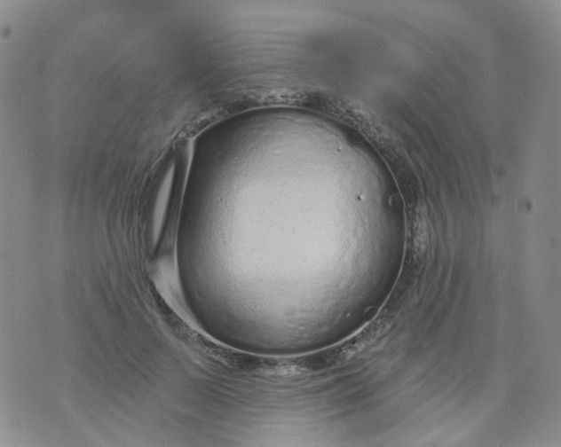 X0000073930695200609011835