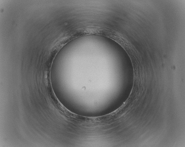 X0000073930696200609011835