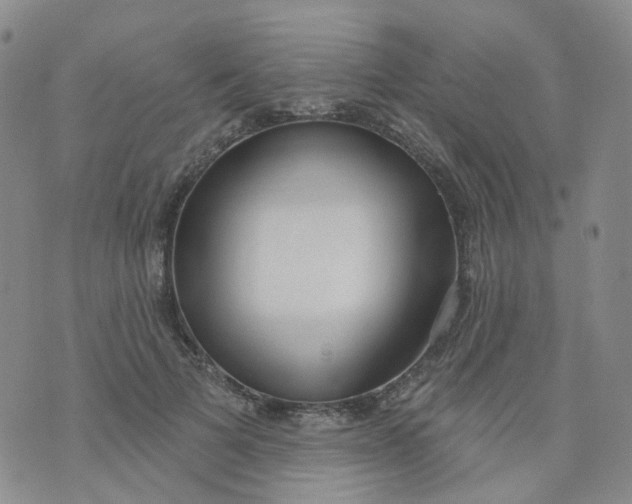 X0000073930697200609011835