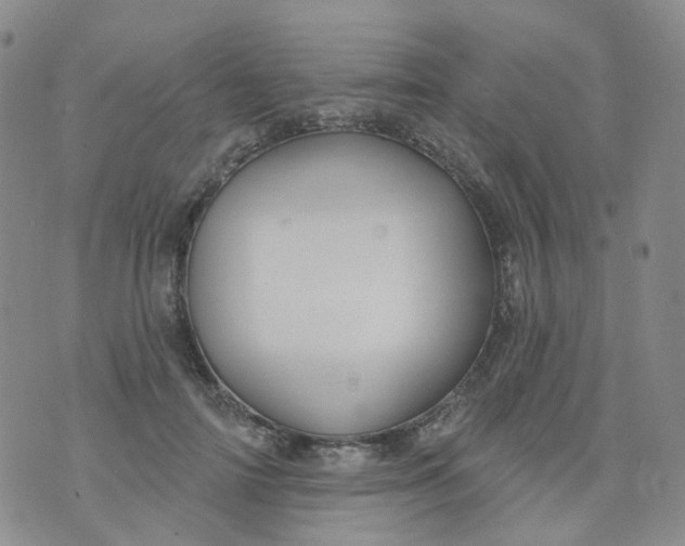 X0000073930698200609011835