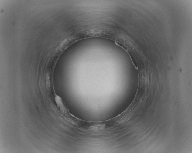 X0000073930700200609011834