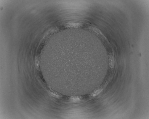 X0000073930701200609011834