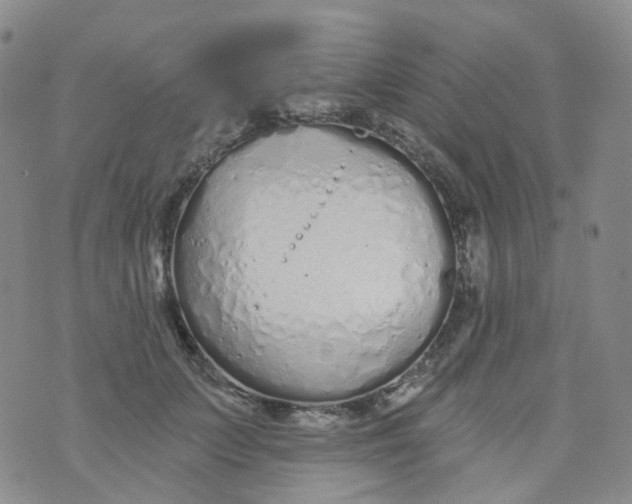 X0000073930703200609011834