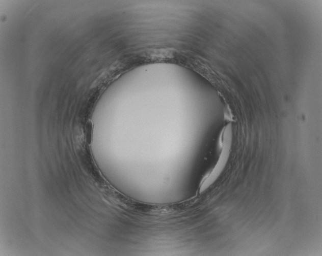 X0000073930704200609011834