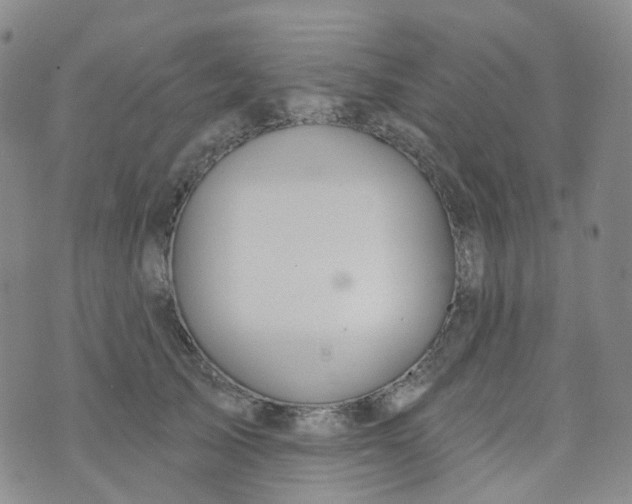 X0000073930705200609011834