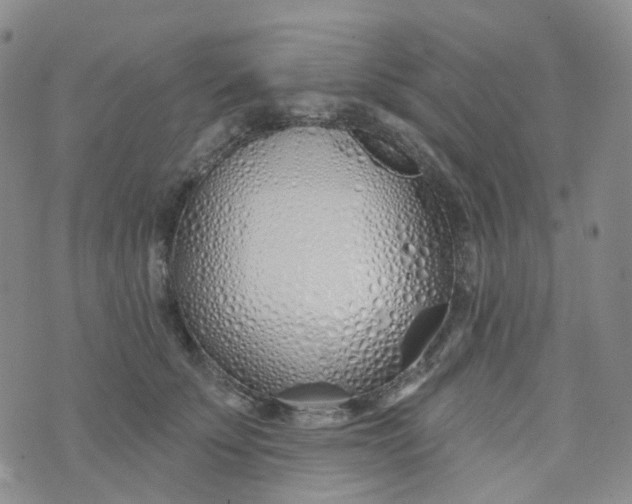 X0000073930707200609011834