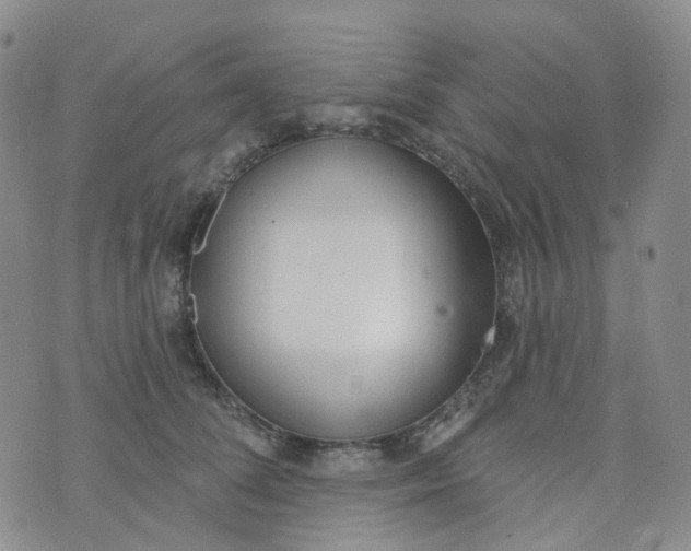 X0000073930708200609011834