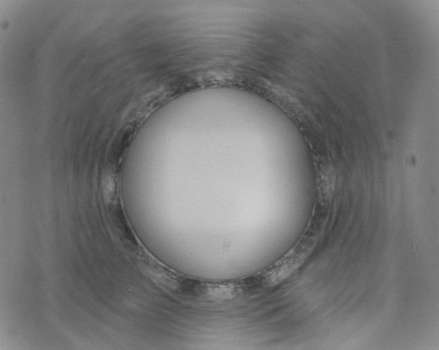 X0000073930709200609011834