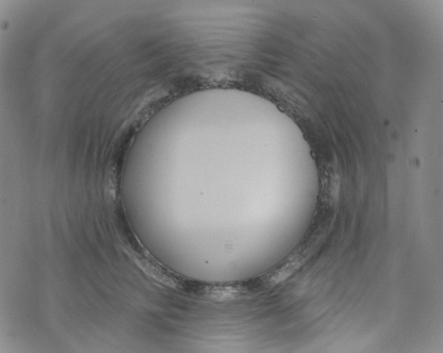 X0000073930710200609011834