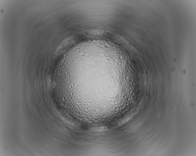 X0000073930711200609011834