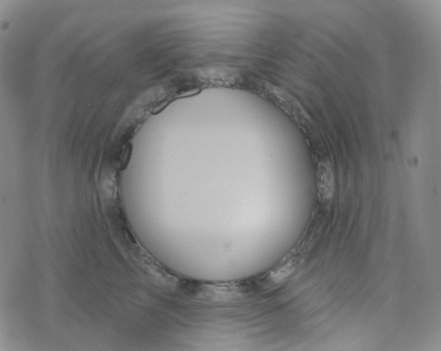 X0000073930713200609011834