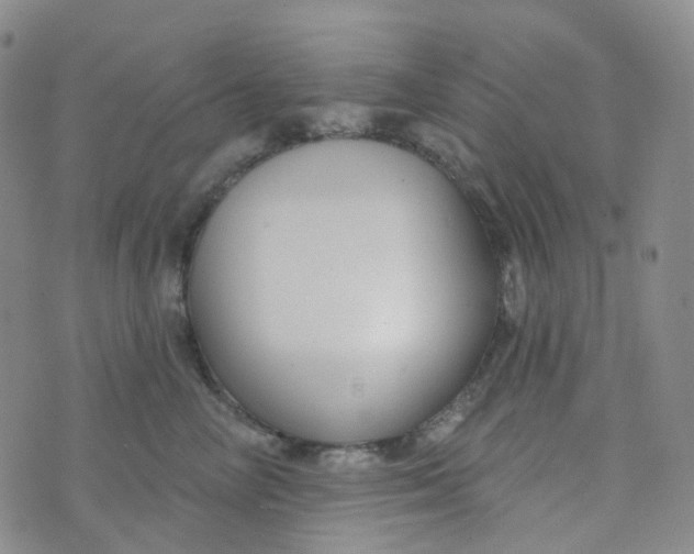 X0000073930714200609011834