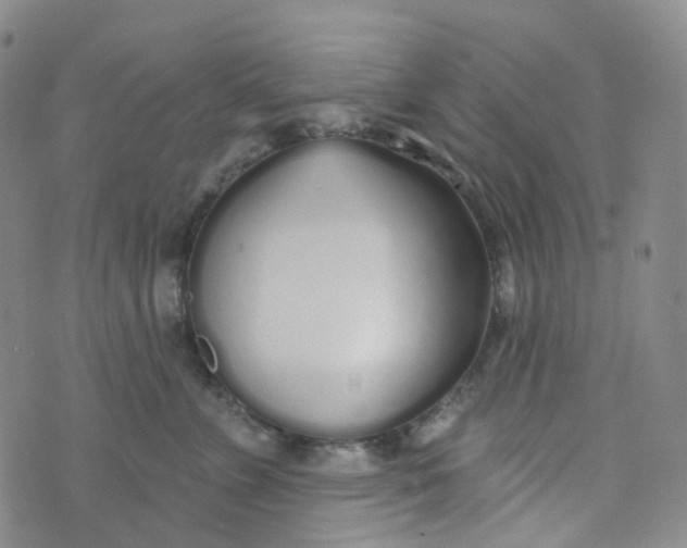 X0000073930715200609011834