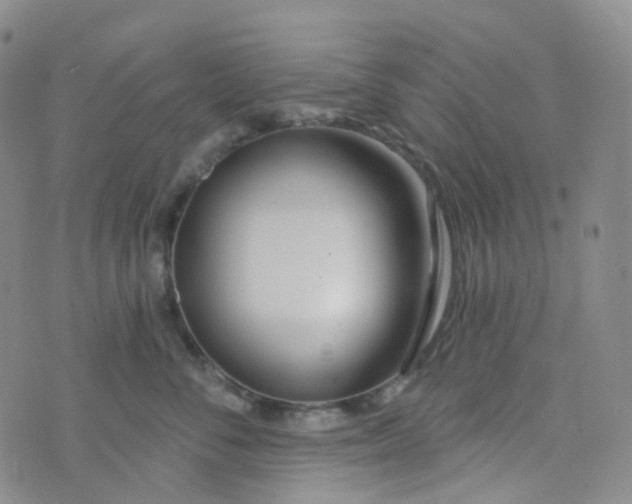 X0000073930716200609011834