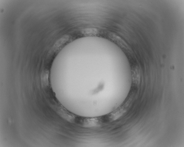 X0000073930717200609011834