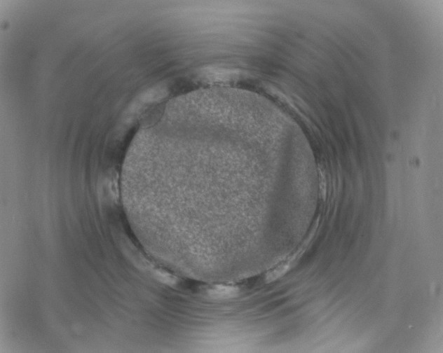 X0000073930718200609011834