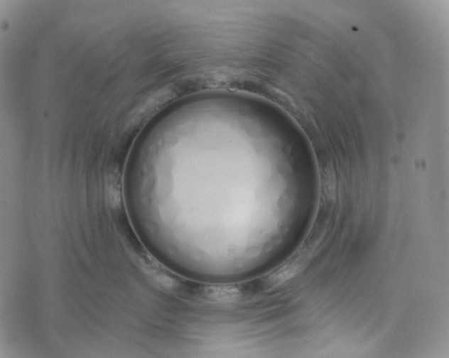 X0000073930719200609011834