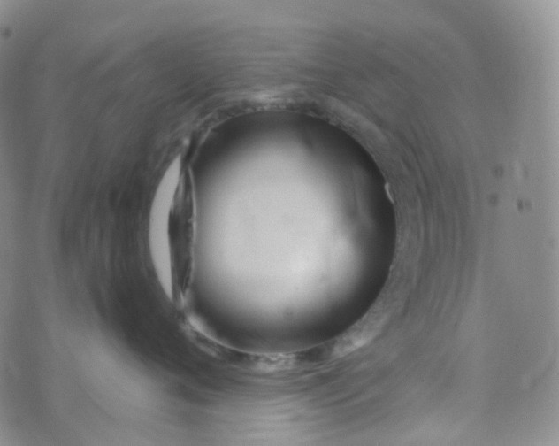 X0000073930720200609011834