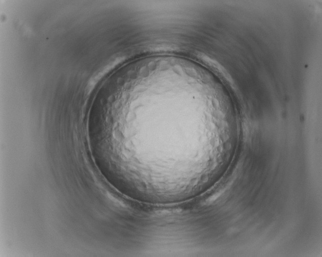 X0000073930721200609011833