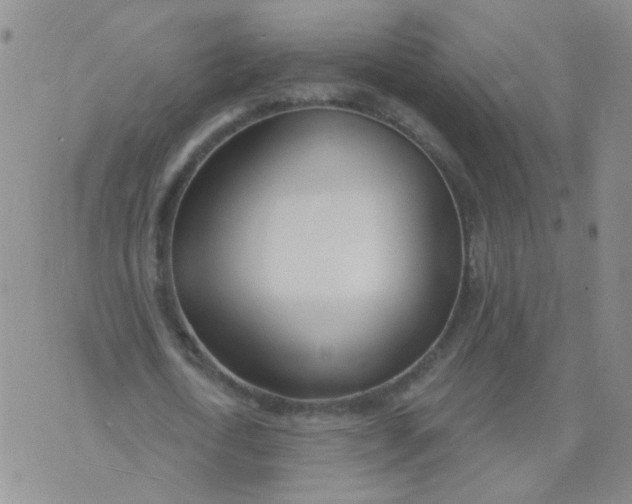 X0000073930722200609011833