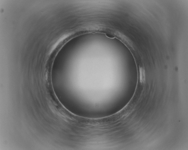 X0000073930723200609011833