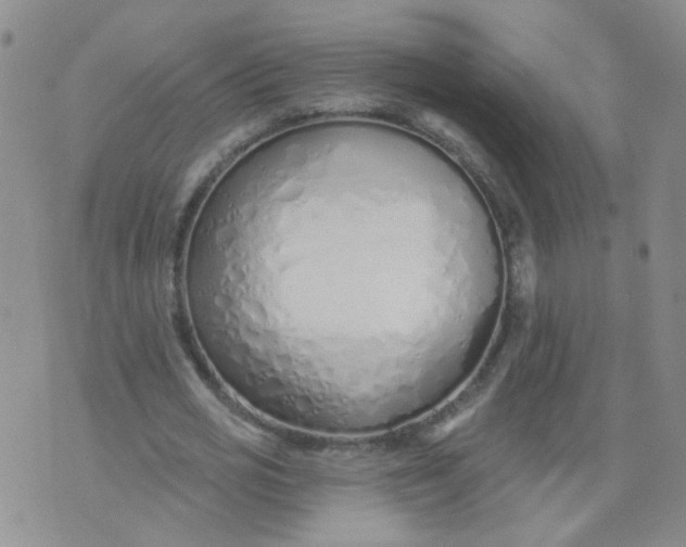 X0000073930725200609011833