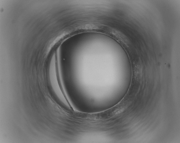 X0000073930727200609011833