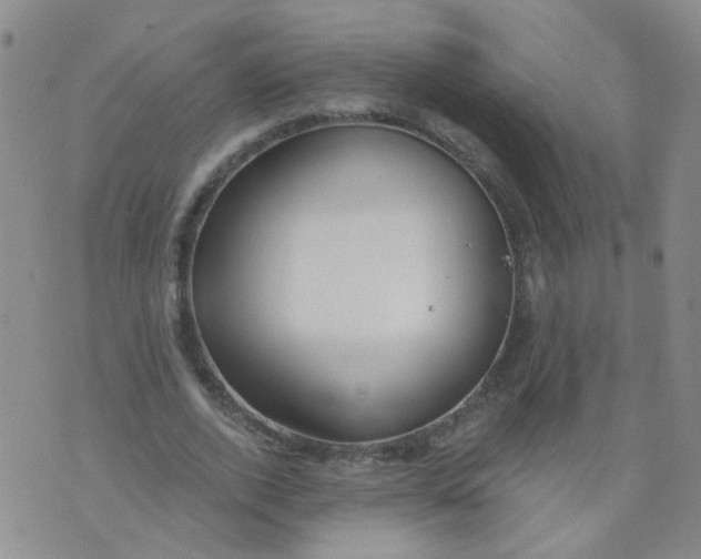 X0000073930728200609011833