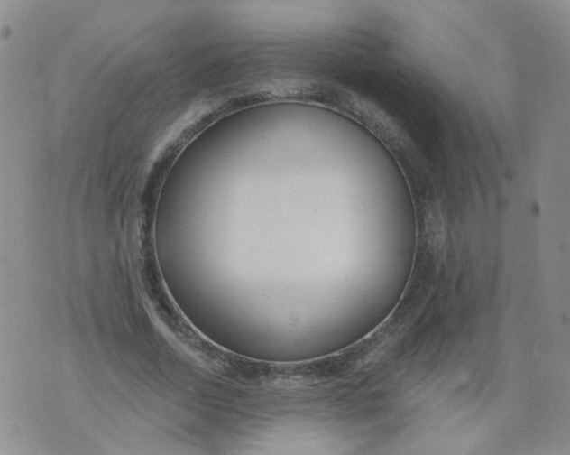 X0000073930730200609011834