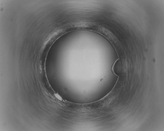 X0000073930731200609011834