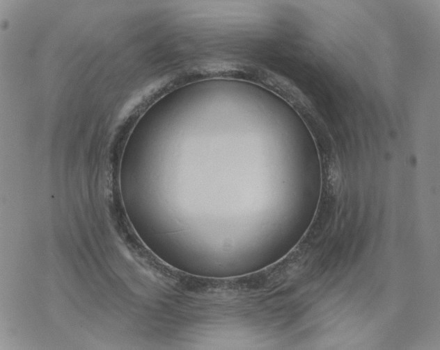 X0000073930732200609011834