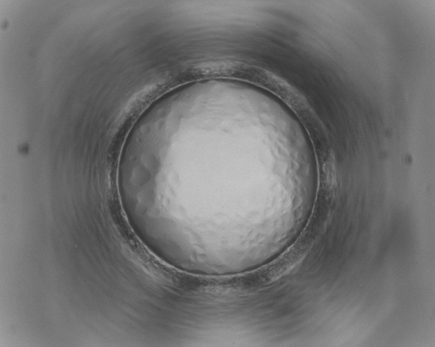 X0000073930733200609011834