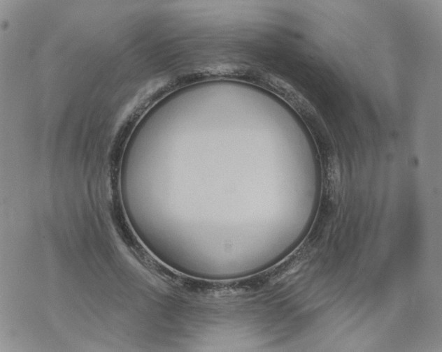 X0000073930734200609011834