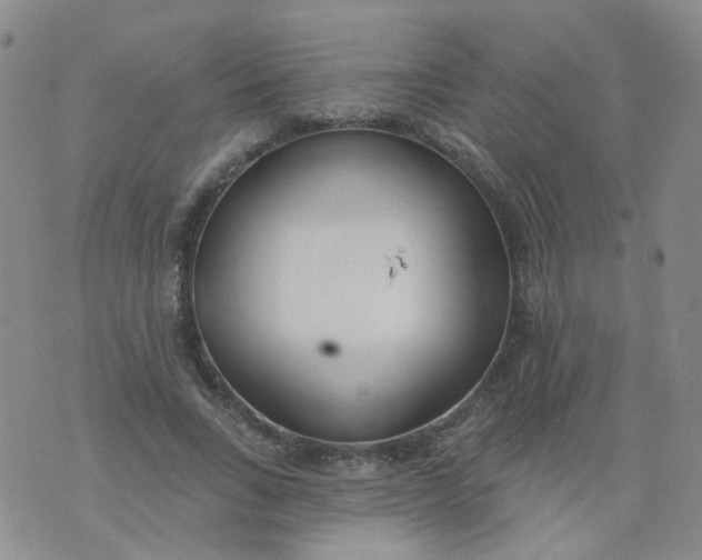 X0000073930735200609011834