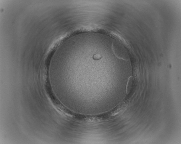 X0000073930736200609011834