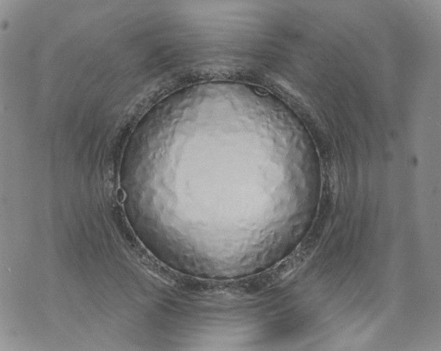 X0000073930737200609011834