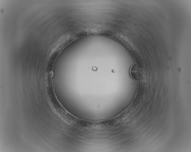 X0000073930738200609011834