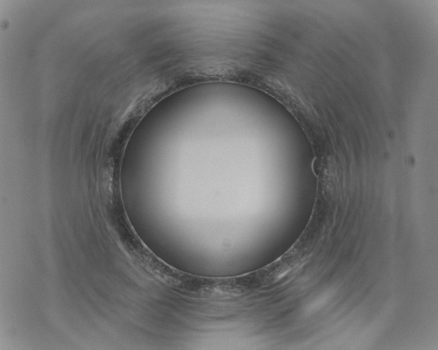 X0000073930739200609011834