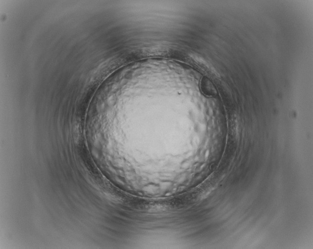 X0000073930741200609011834