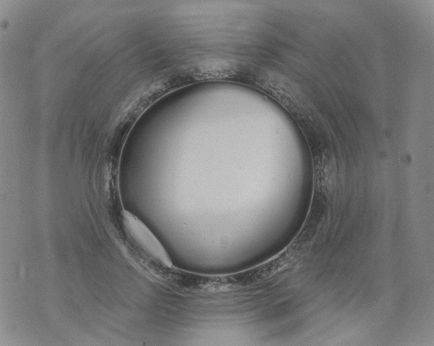 X0000073930742200609011834